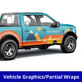 Roland TrueVis Printer Vehicle Graphics